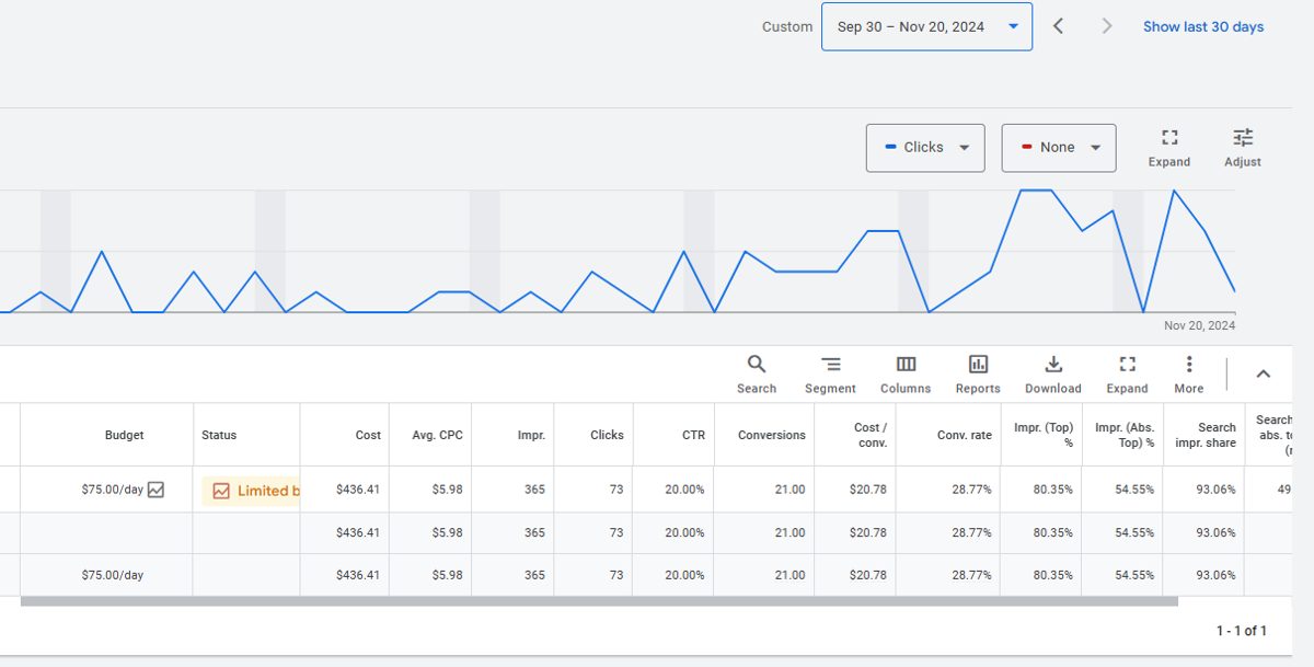 Festive light installation Google Ads results screenshot